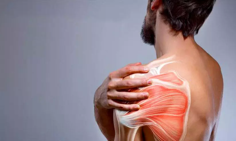 തോൾസന്ധി വേദന: കാരണങ്ങൾ പലതാകാം തോൾസന്ധി വേദന: കാരണങ്ങൾ പലതാകാം