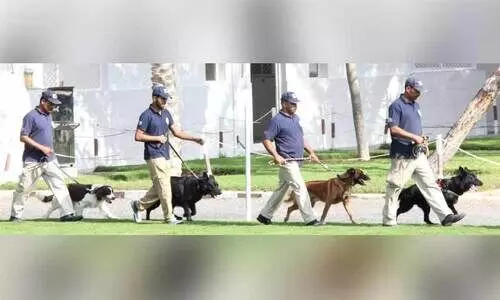 ഇ-ചിപ്പുകള്‍ കണ്ടെത്താൻ പരിശീലനം നേടി പൊലീസ്​ നായ്​ക്കള്‍