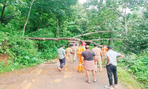 കാലവർഷം ശക്തിപ്രാപികുന്നു; മലയോരത്ത് കുന്നിടിച്ചിലും മരം കടപുഴകി വീഴലും വ്യാപകം