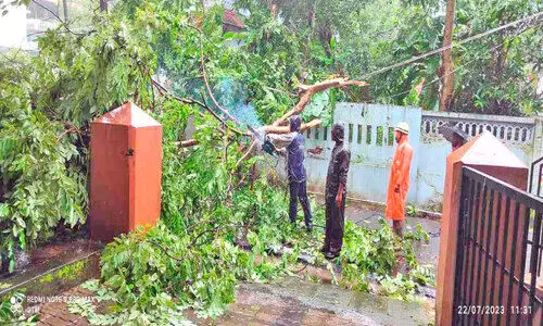 കനത്ത മഴയും കാറ്റും; മരങ്ങൾ പൊട്ടിവീണു