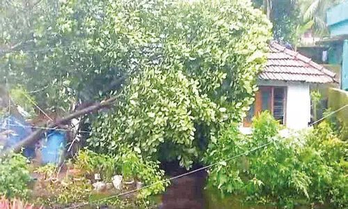 ആ​ഞ്ഞ​ടി​ച്ച് കാ​റ്റും മ​ഴ​യും; തൃശ്ശൂർ ജി​ല്ല​യാ​കെ വ​ൻ നാ​ശം