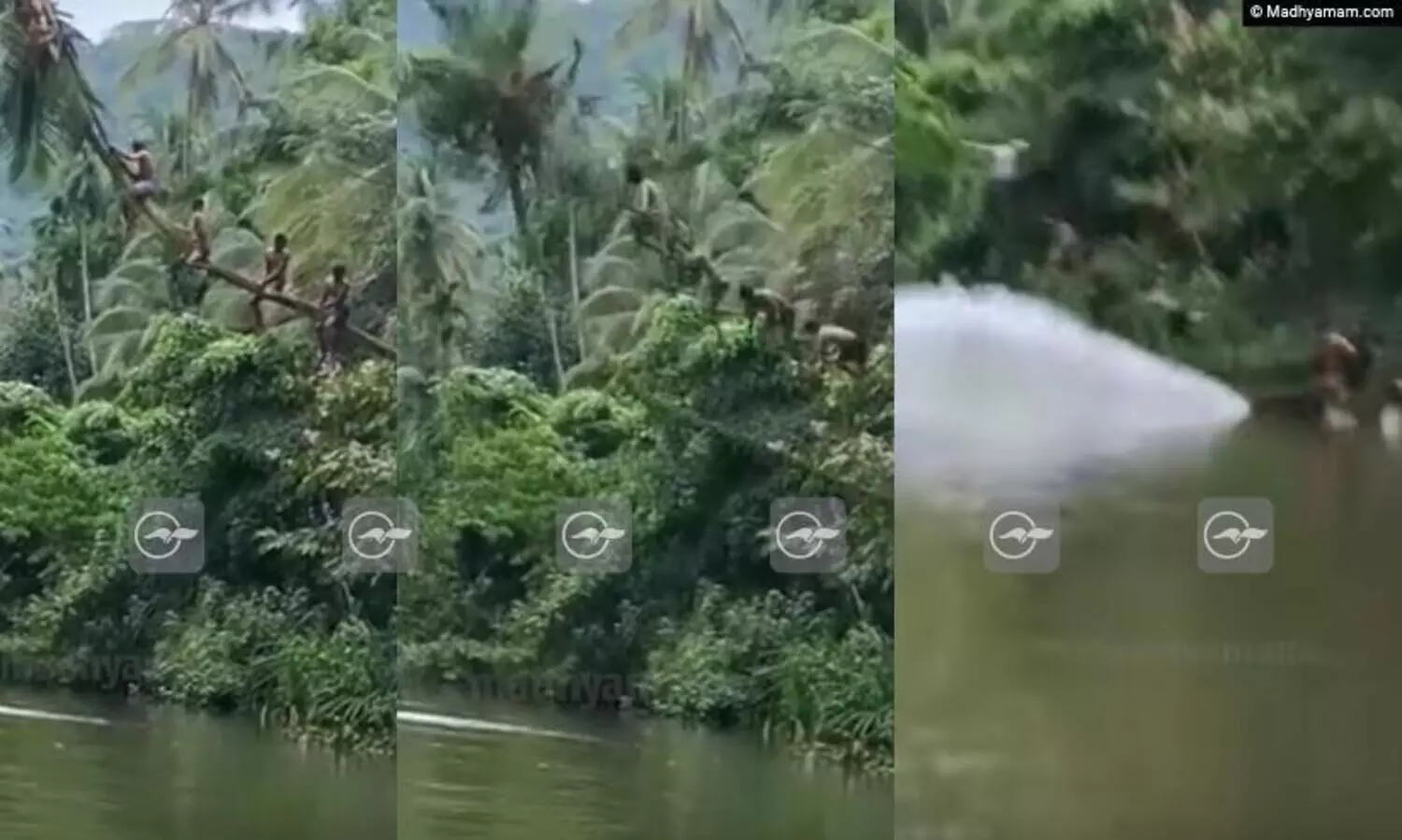 പുഴയിൽ ചാടാന്‍ ചാഞ്ഞുകിടന്ന തെങ്ങില്‍ കയറി; ആദ്യം ചാടി തെങ്ങ്, വൈറലായി യുവാക്കളുടെ ‘വീഴ്ച’ -Video