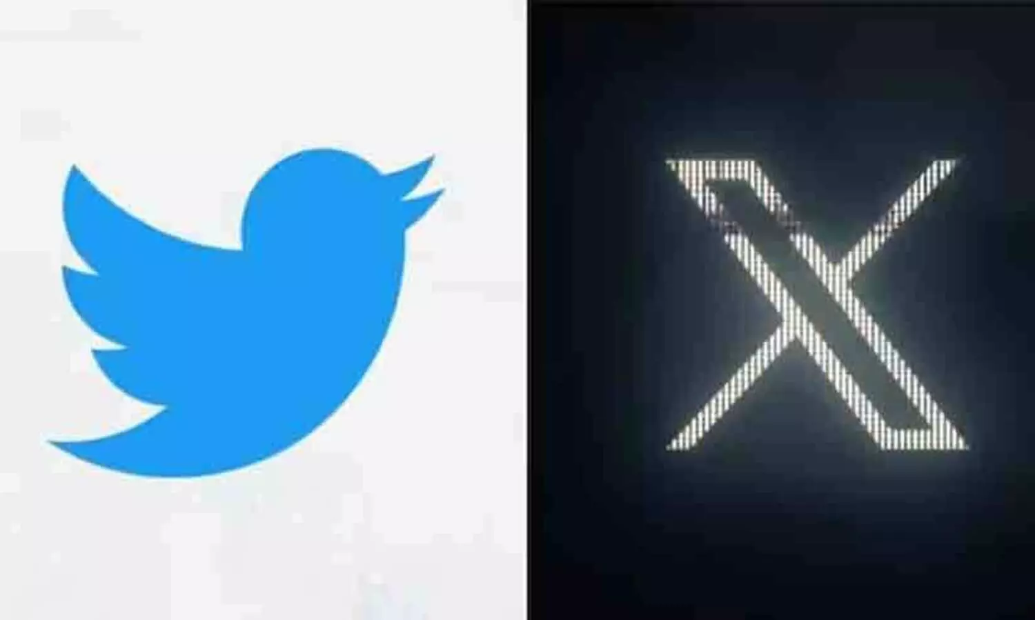ആ നീലക്കിളി ഇനിയില്ല; ട്വിറ്ററി​ന്റെ ലോഗോ മാറ്റി മസ്ക്