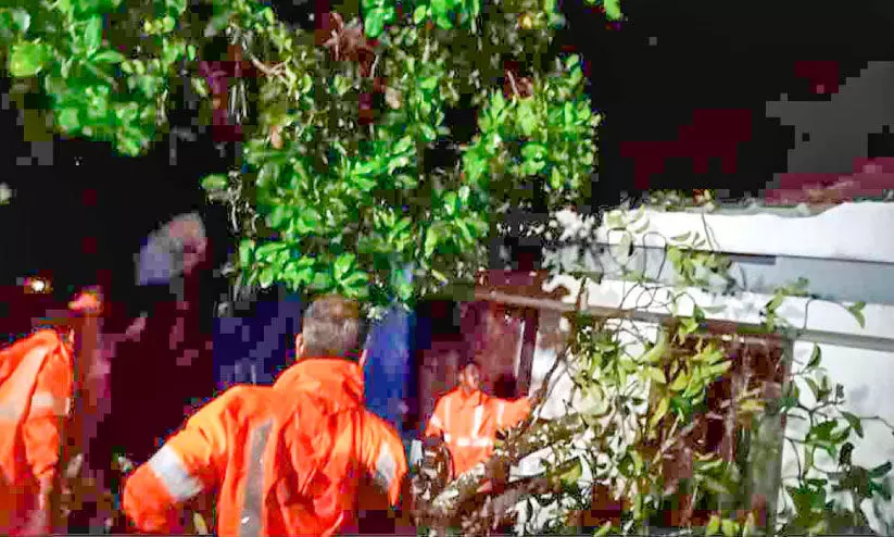 വീടിന്​ മുകളിൽ മരം വീണു