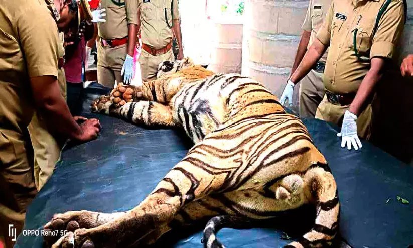 പെരുനാടിന് ആശ്വസിക്കാം; ബഥനിമലയില് പെരുനാടിന് ആശ്വസിക്കാം; ബഥനിമലയില്