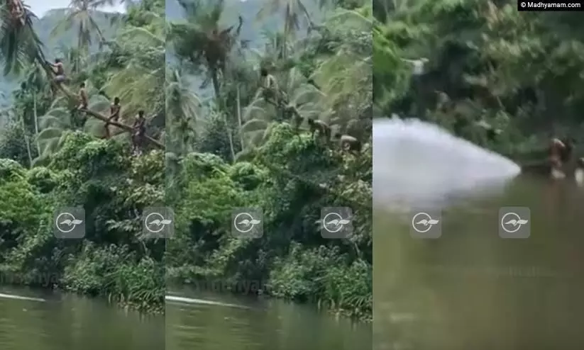പുഴയിൽ ചാടാന്‍ ചാഞ്ഞുകിടന്ന തെങ്ങില്‍ കയറി; ആദ്യം ചാടി തെങ്ങ്, വൈറലായി യുവാക്കളുടെ ‘വീഴ്ച’ -Video