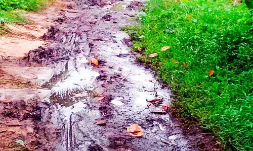 ചളിവെള്ളത്തിൽനിന്ന്​ രക്ഷ; സ്വന്തം ചെലവിൽ നടപ്പാതയൊരുക്കി നാട്ടുകാർ