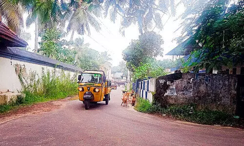 ഏതിലേ പോയാലും മാന്നാറിൽ ബൗ...ബൗ...