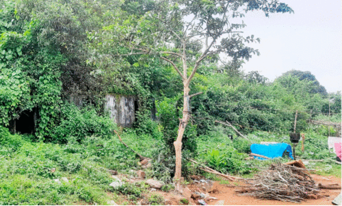 Villagers of Posultana Villagers of Posultana