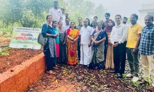 പച്ച തുരുത്തൊരുക്കി സാഫി കോളേജ്