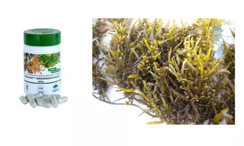 കോവിഡാനന്തര ആരോഗ്യപ്രശ്‌നങ്ങൾ: പ്രതിരോധശേഷി കൂട്ടാൻ കടൽപായൽ ഉൽപന്നവുമായി സി.എം.എഫ്.ആർ.ഐ