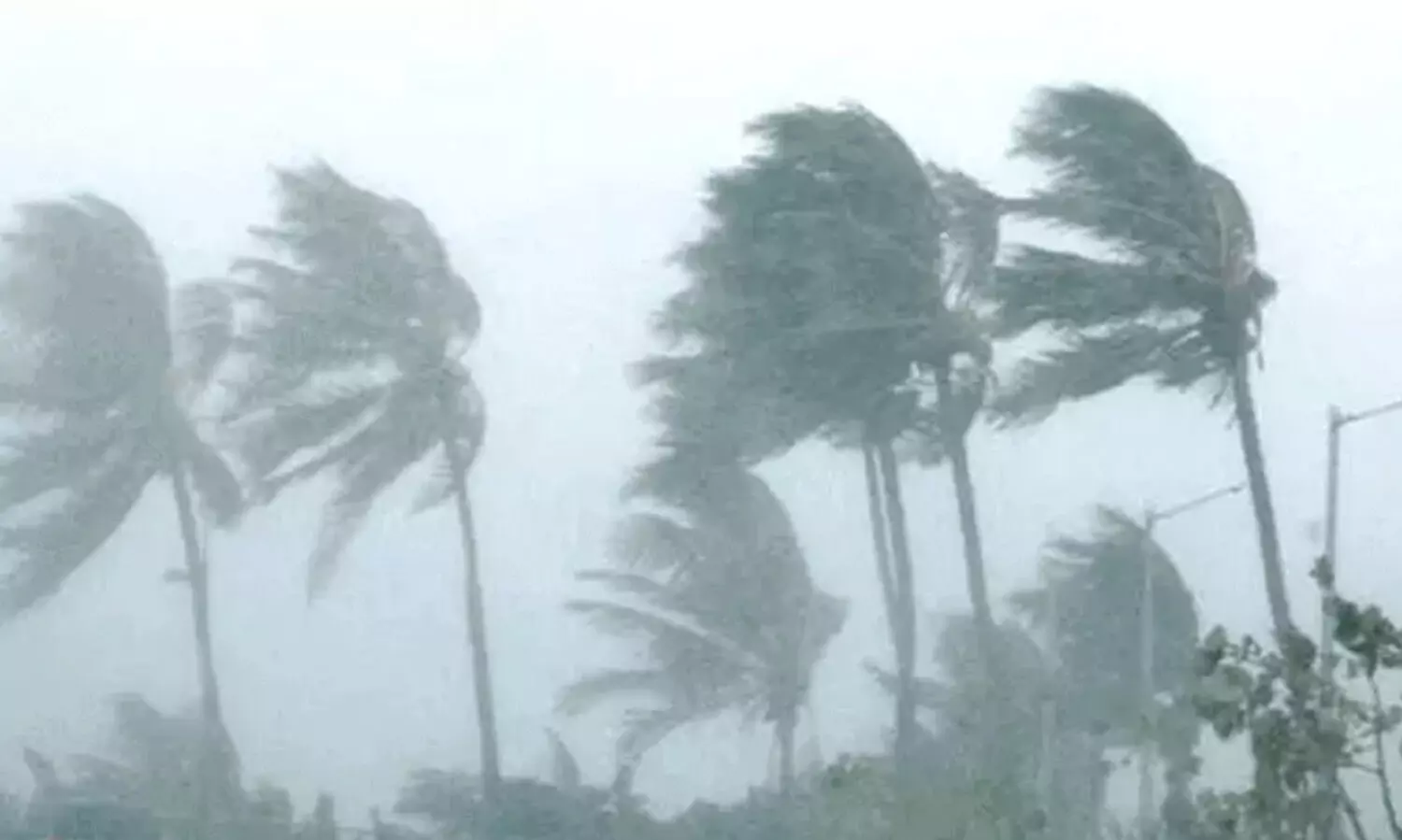 ന്യൂ​ന​മ​ർ​ദം; വി​വി​ധ പ്ര​ദേ​ശ​ങ്ങ​ളി​ൽ മ​ഴ തു​ട​രും