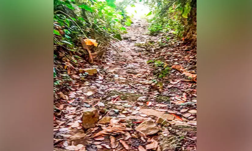 ചിറക്കൽ പാറയിൽ പാലം നിർമാണത്തിന് ഭരണാനുമതി; പത്തനംതിട്ട-കോട്ടയം ജില്ലകളെ ബന്ധിപ്പിക്കും ചിറക്കൽ പാറയിൽ പാലം നിർമാണത്തിന് ഭരണാനുമതി; പത്തനംതിട്ട-കോട്ടയം ജില്ലകളെ ബന്ധിപ്പിക്കും