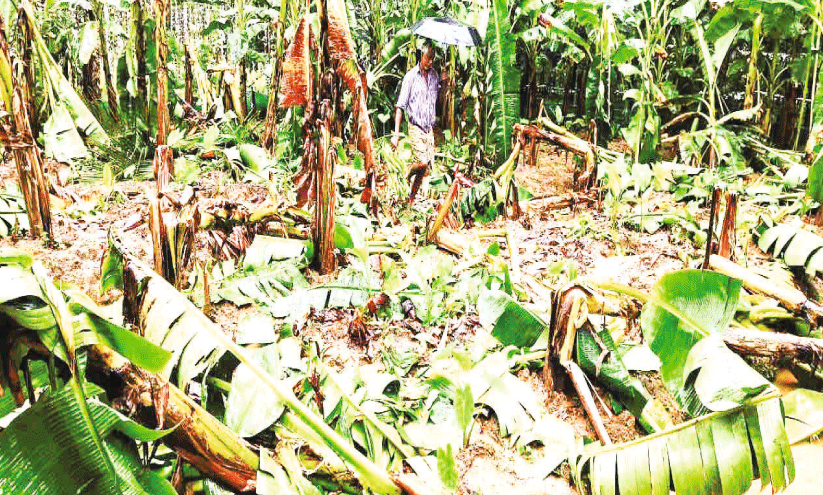 Thiruvizhamkun Thiruvizhamkun