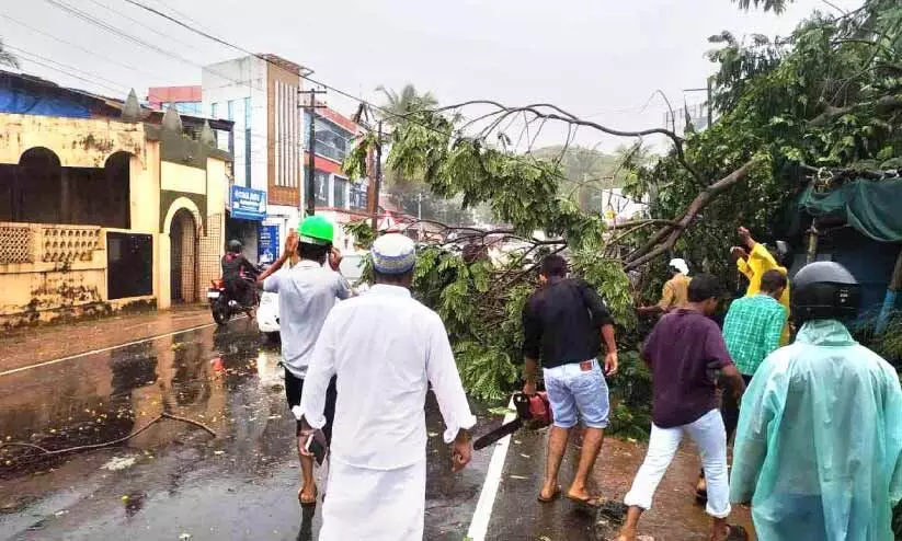 അ​ഴി​യൂ​ർ ദേ​ശീ​യ​പാ​ത​യി​ൽ വീ​ണ മ​രം മു​റി​ച്ചു​നീ​ക്കു​ന്നു