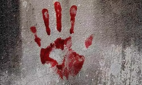 murder case murder case