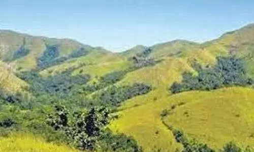 ഇടുക്കിയിലെ ഭൂവിനിയോഗം; നിയമത്തിലും ചട്ടത്തിലും ഭേദഗതി കൊണ്ടുവരുമെന്ന് സർക്കാർ