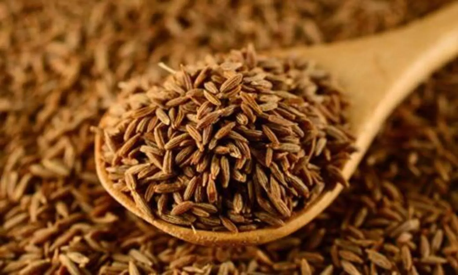 Cumin Seed Benefits