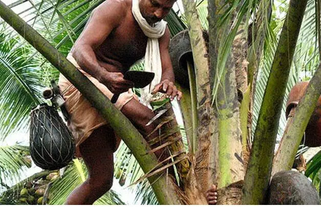 കള്ളുഷാപ്പുകളുടെ മുഖഛായ മാറ്റാൻ തീരുമാനം കള്ളുഷാപ്പുകളുടെ മുഖഛായ മാറ്റാൻ തീരുമാനം