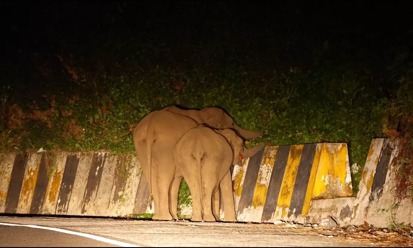 nadukani churam nadukani churam