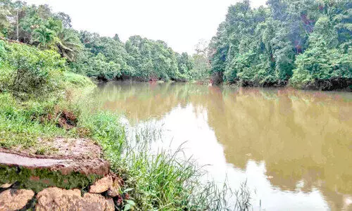 അച്ചൻകോവിലാർ തീരം സംരക്ഷിക്കാൻ​ നടപടിയില്ല