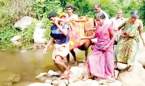 പട്ടികവർഗ മൈക്രോപ്ലാനുകൾ: മാർഗരേഖ പുറപ്പെടുവിച്ചു