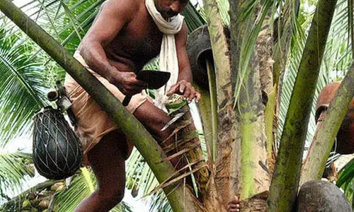 കള്ളുഷാപ്പുകളുടെ മുഖഛായ മാറ്റാൻ തീരുമാനം