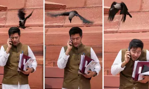 കള്ളം പറഞ്ഞാൽ കാക്ക കൊത്തുമെന്ന് ബി.ജെ.പി; കലിയുഗത്തിന്‍റെ ലക്ഷണമെന്ന് ഛദ്ദ