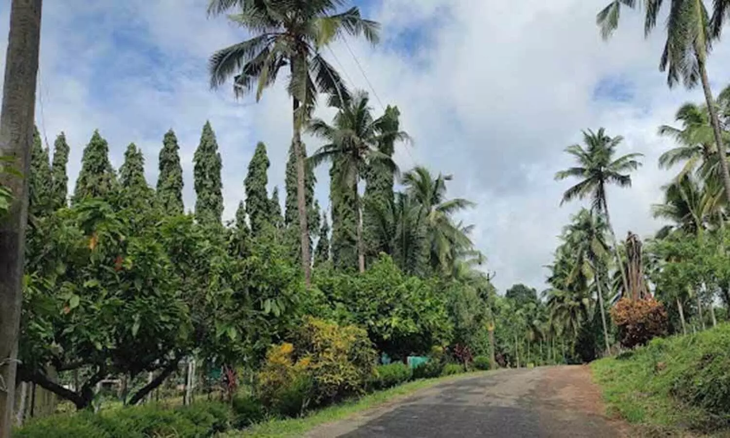 aralam farm