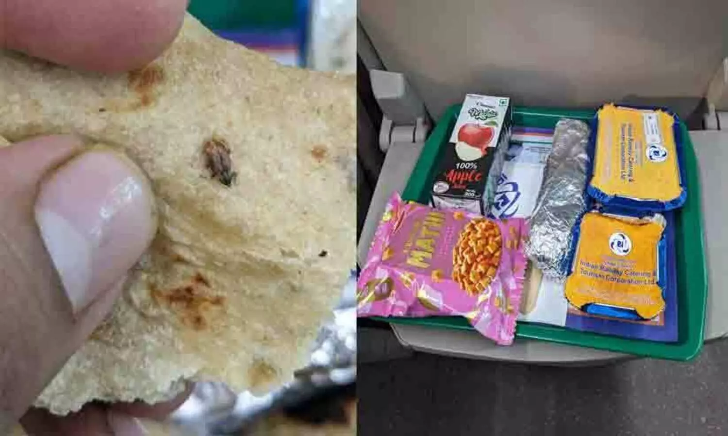 വന്ദേഭാരതിൽ വിളമ്പിയ ഭക്ഷണത്തിൽ പാറ്റ; ഗുണനിലവാരം ചോദ്യം ചെയ്ത് യാത്രക്കാർ