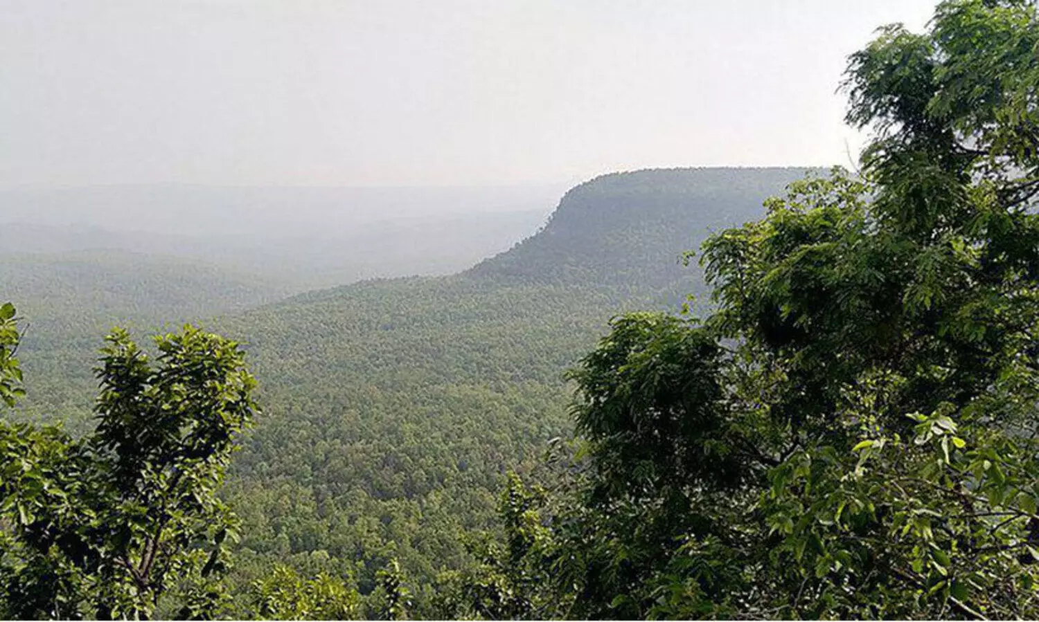 വന സംരക്ഷണ ഭേദഗതി ബിൽ 2023; ലോക്‌സഭ പാസാക്കി