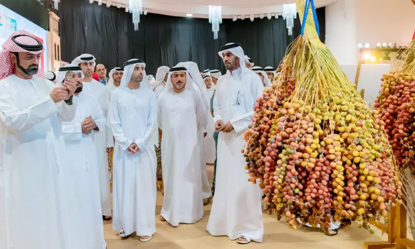 അജ്മാന് ലിവ ഈത്തപ്പഴ മേളക്ക് ഇന്ന് തുടക്കം അജ്മാന് ലിവ ഈത്തപ്പഴ മേളക്ക് ഇന്ന് തുടക്കം