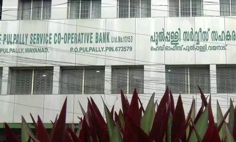 pulpally bank loan fraud