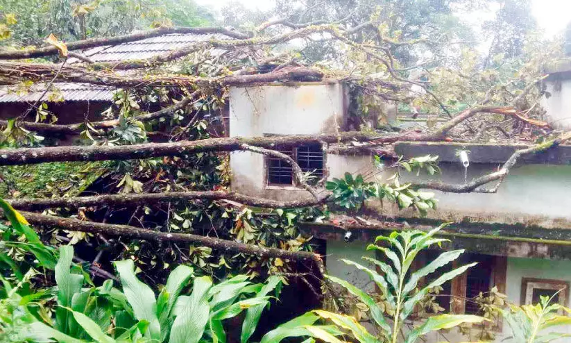 മഴ: ഇടുക്കിയിൽ നാശം നേരിട്ടത് 78 വീടുകൾക്ക് മഴ: ഇടുക്കിയിൽ നാശം നേരിട്ടത് 78 വീടുകൾക്ക്