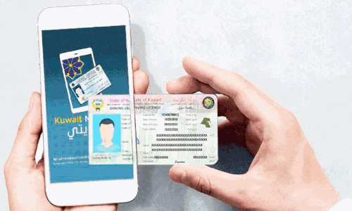 driving license fraud