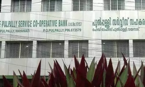 pulpally bank loan fraud