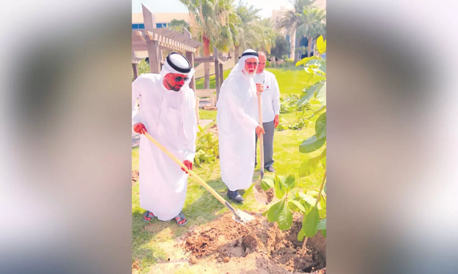 ബ​ദാം കൃ​ഷി വ്യാ​പ​ക​മാ​ക്കു​ന്നു; പാ​ർ​ക്കു​ക​ളി​ലും ന​ട​പ്പാ​ത​ക​ളി​ലും തൈ​ക​ൾ ന​ട്ടു