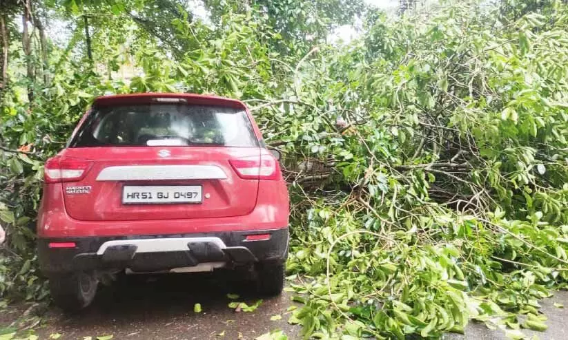 rain alert rain alert