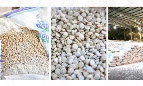 ഒ​രു ദ​ശ​ല​ക്ഷം ക്യാ​പ്റ്റ​ഗ​ൺ ഗു​ളി​ക​ക​ൾ പി​ടി​കൂ​ടി