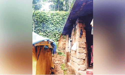 മുണ്ടേരി നാരങ്ങാപൊയിലിൽ വിള്ളല്‍: മൂന്ന് കുടുംബങ്ങളോട് മാറി താമസിക്കാൻ നിർദേശം