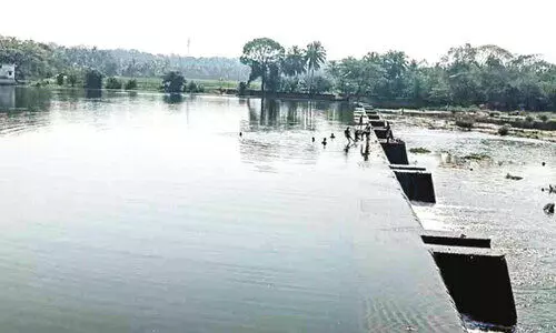 ഞാ​വ​ളി​ൻ​ക​ട​വ് മേ​ൽ​പാ​ല​ത്തി​ന് പ​ച്ച​ക്കൊ​ടി