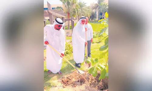 ബ​ദാം കൃ​ഷി വ്യാ​പ​ക​മാ​ക്കു​ന്നു; പാ​ർ​ക്കു​ക​ളി​ലും ന​ട​പ്പാ​ത​ക​ളി​ലും തൈ​ക​ൾ ന​ട്ടു