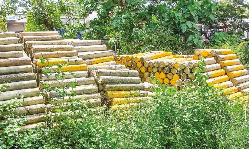 കെ-റെയിൽ: തുടർ നടപടികൾക്ക് നിർദേശം, സൗത്ത് പല്ലാർ പ്രദേശത്തുകാർ ആശങ്കയിൽ