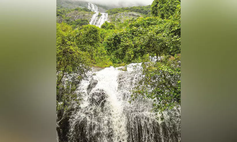 വെ​ള്ള​ച്ചാ​ട്ടം ആ​സ്വ​ദി​ച്ചോ​ളൂ, സാ​ഹ​സി​ക​ത വേ​ണ്ട