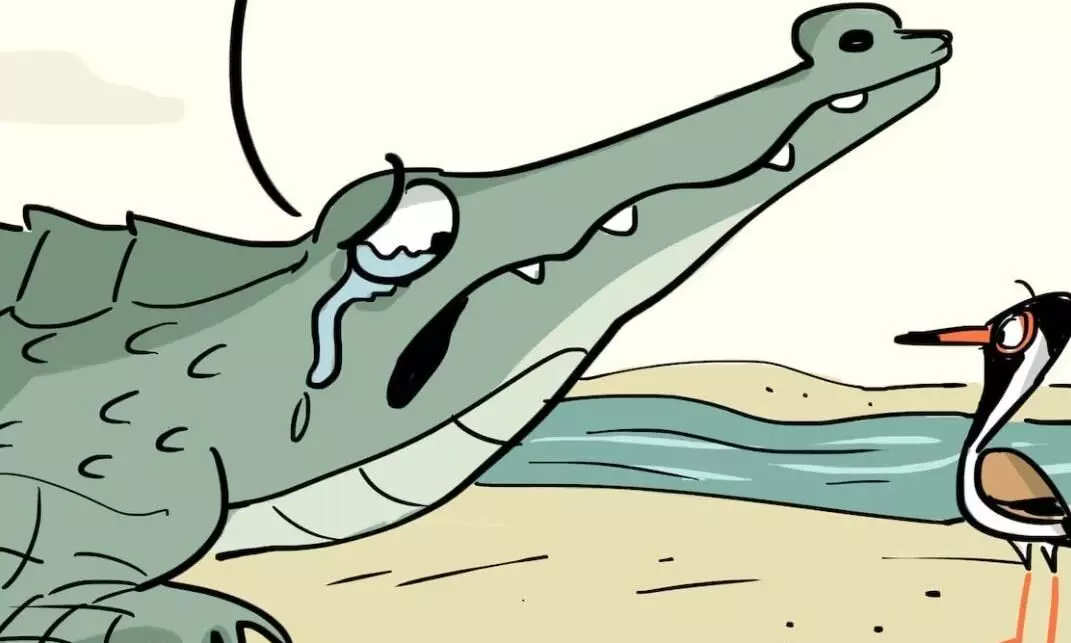 crocodile tears crocodile tears