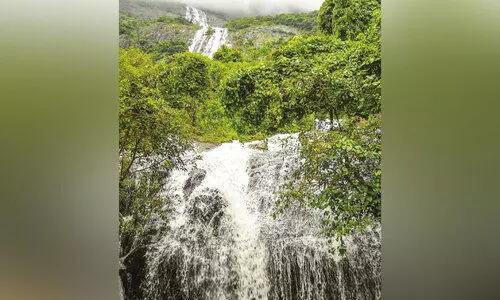 വെ​ള്ള​ച്ചാ​ട്ടം ആ​സ്വ​ദി​ച്ചോ​ളൂ, സാ​ഹ​സി​ക​ത വേ​ണ്ട