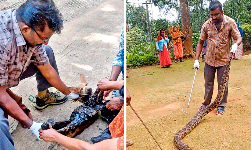 Tahir Pinangod Tahir Pinangod