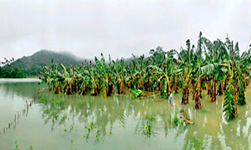 agriculture agriculture