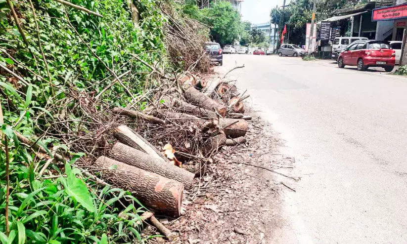 മരങ്ങൾ നീക്കിയില്ല; ഗതാഗതക്കുരുക്ക് രൂക്ഷമായി