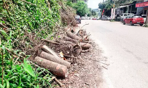 മരങ്ങൾ നീക്കിയില്ല; ഗതാഗതക്കുരുക്ക് രൂക്ഷമായി